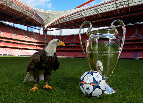 速度与上限 速度与上限